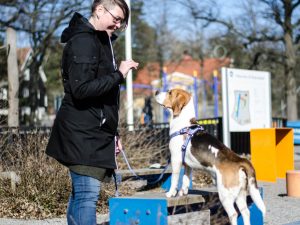 Mari och Tage visar Dogparkour för Glada Jyckar